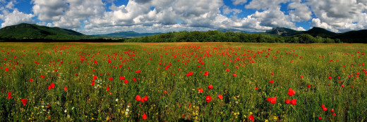 607001 (a): :3600x1200